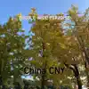 China CNY - Double Wide Paradise - Single